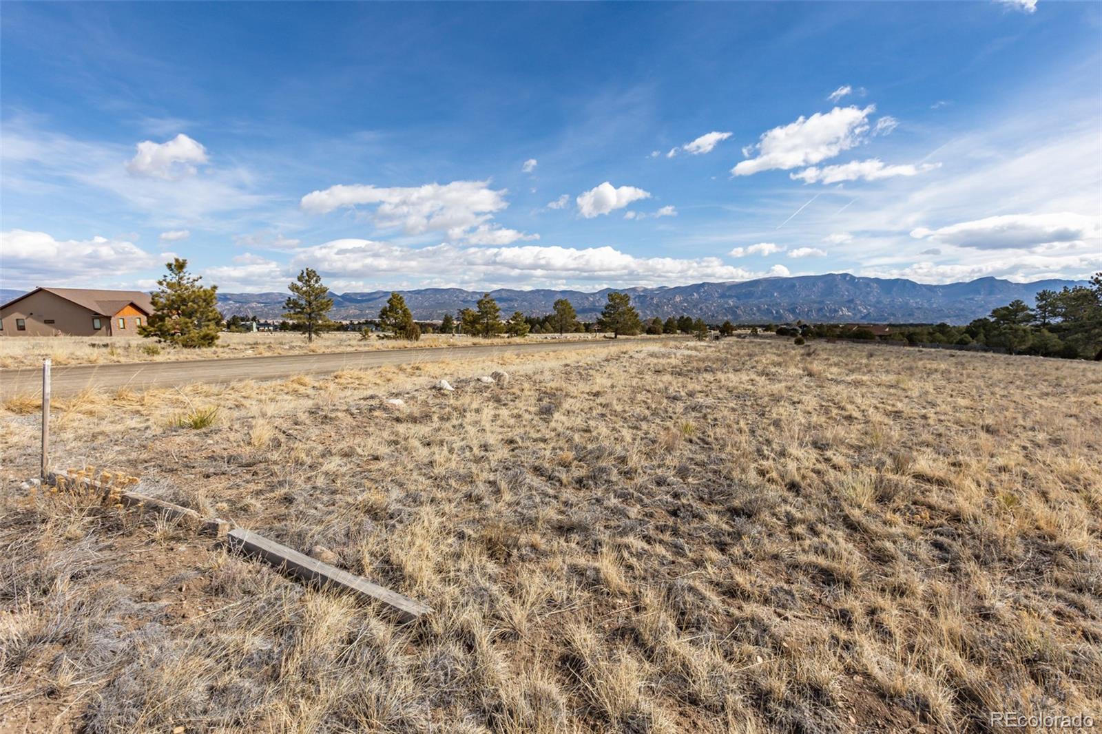 13584 County Road 261b, Nathrop, CO 81236