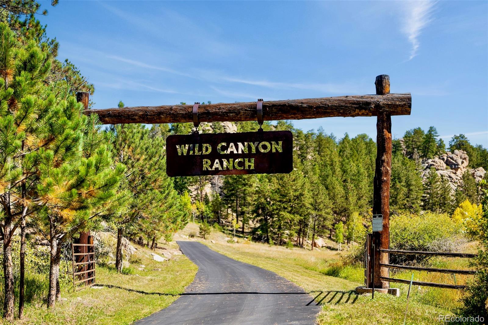 37392 County Road 77, Lake George, CO 80827