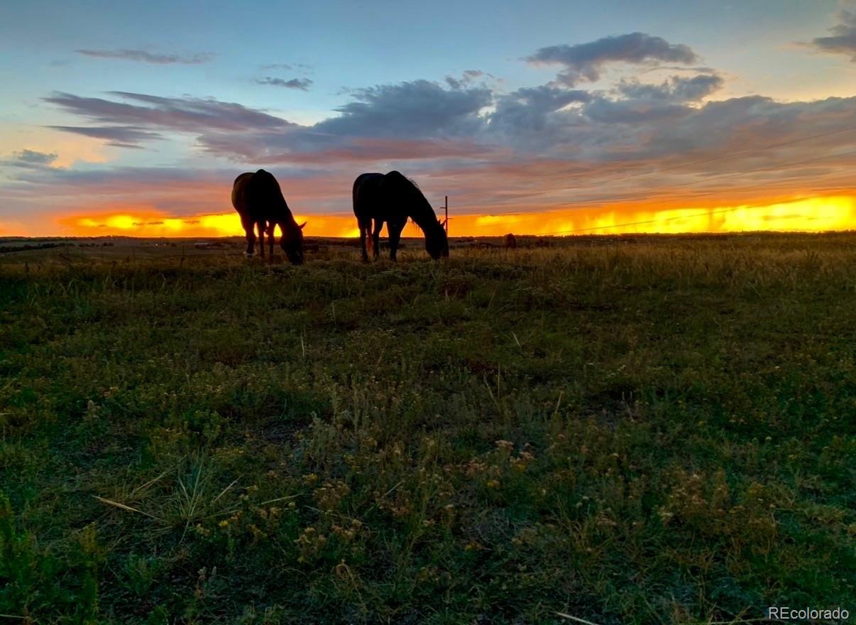 4190 County Road 154, Elizabeth, CO 80107