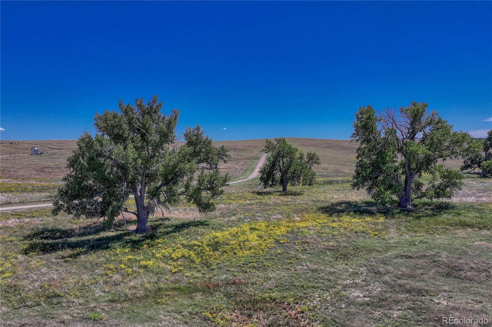 Fiddleback Ranch Rd, Kiowa, CO 80117