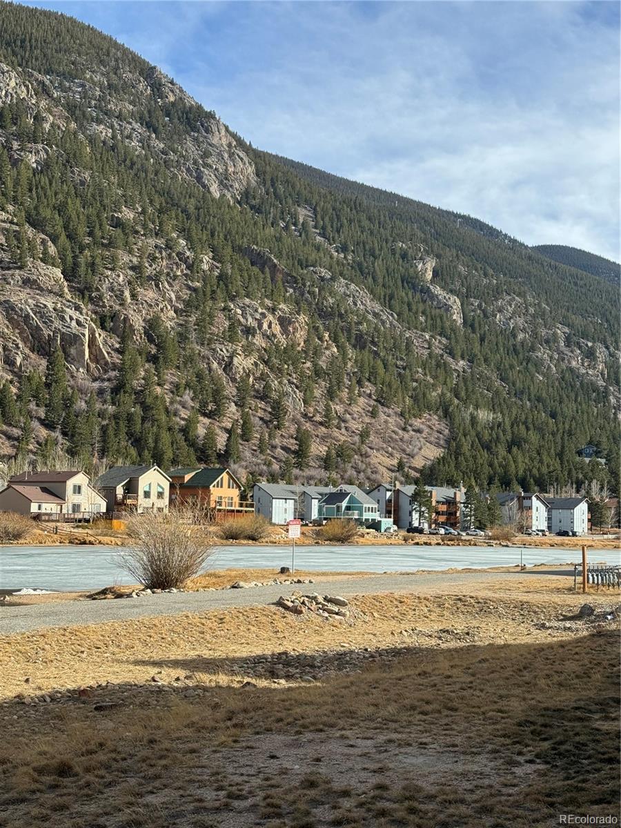 2142 Big Horn Rd, Georgetown, CO 80444