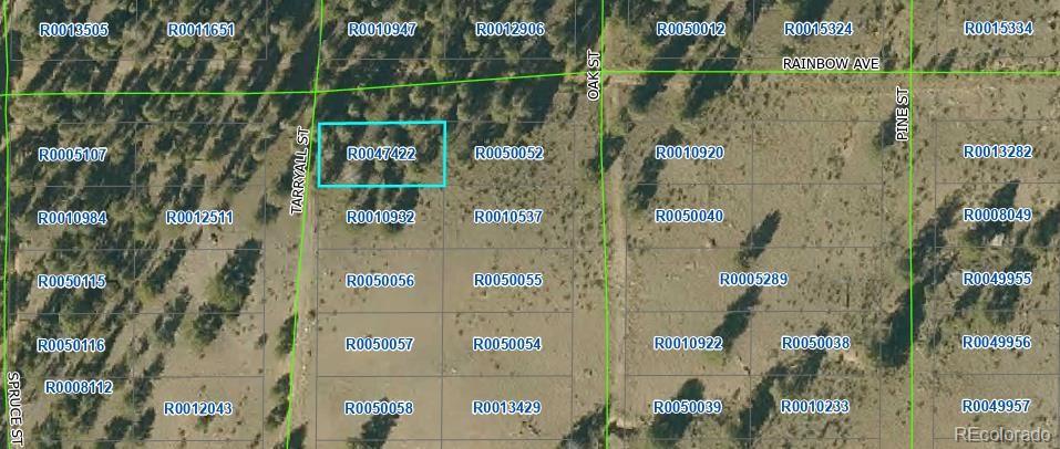 00 Tarryall Rd Lot 21, Hartsel, CO 80449
