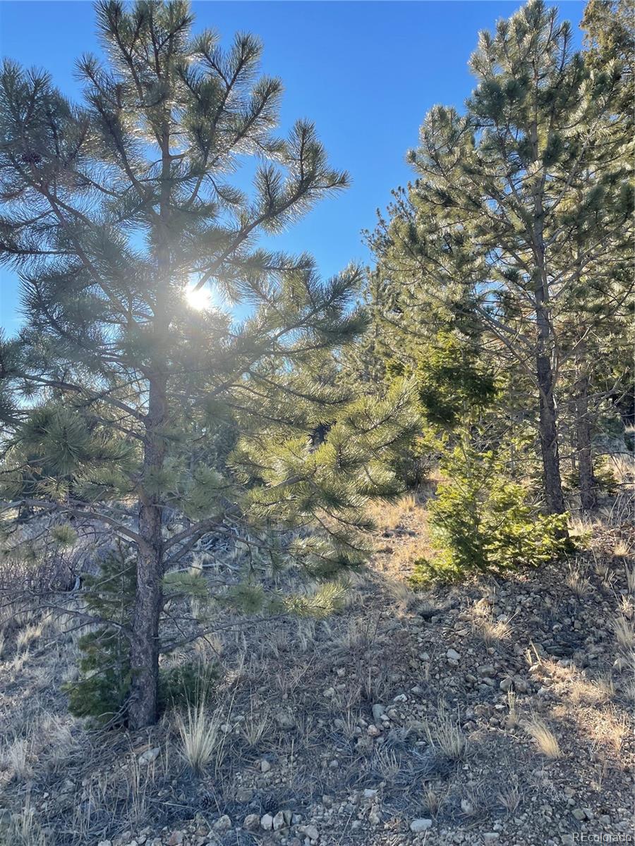 00 Tarryall Rd Lot 21, Hartsel, CO 80449