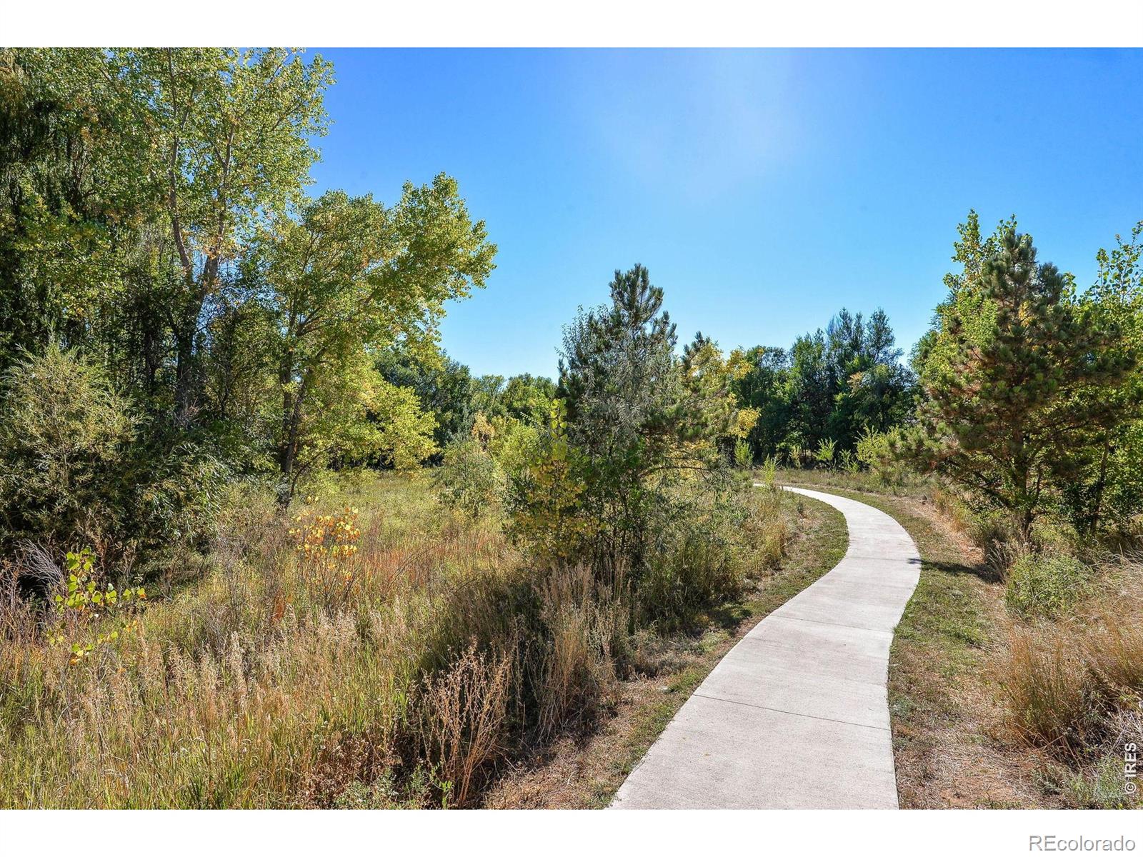2025 Mathews St #1, Fort Collins, CO 80525