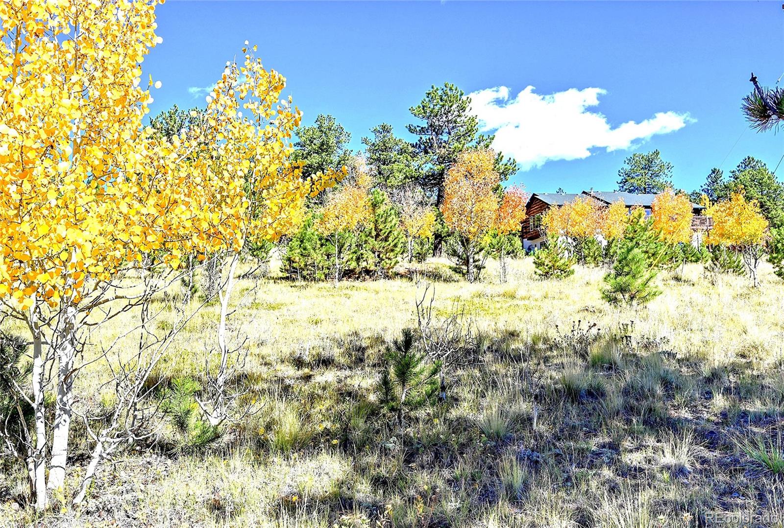 278 Clark Rd, Bailey, CO 80421