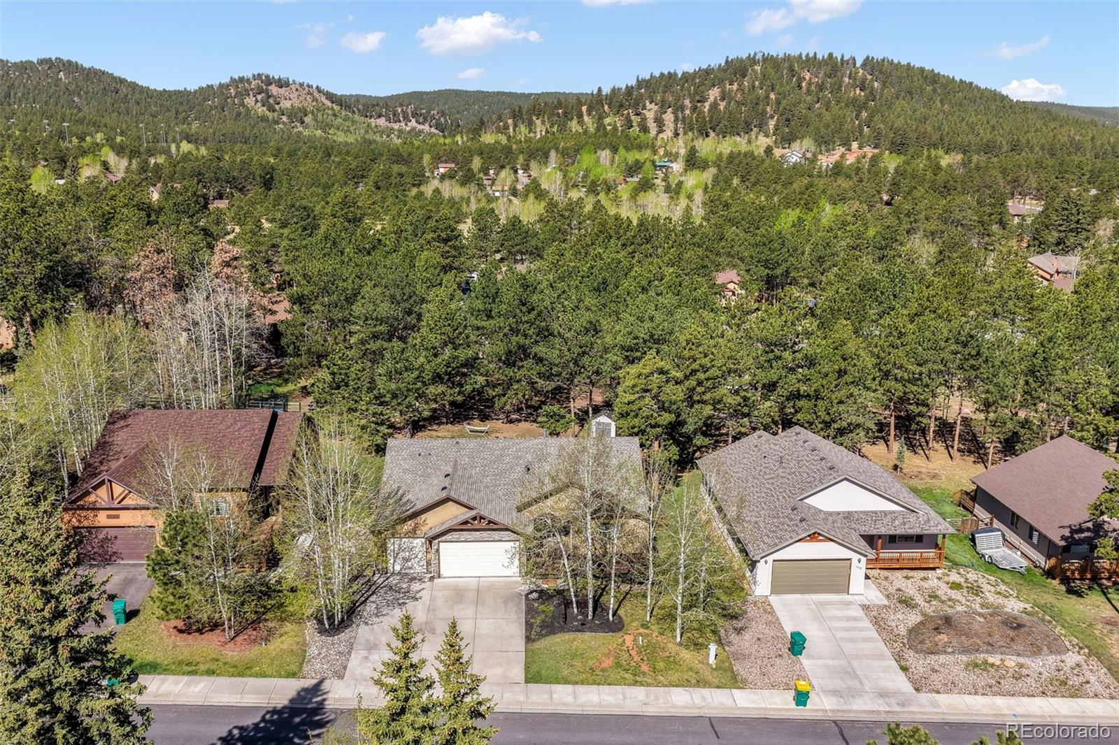 1116 Ptarmigan Dr, Woodland Park, CO 80863