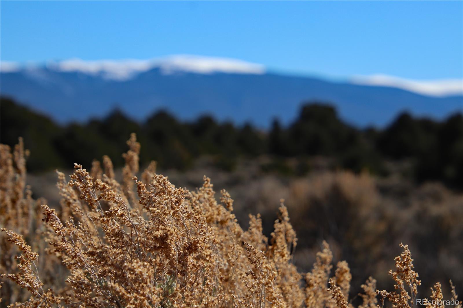 7602 Skyline Dr, San Luis, CO 81152