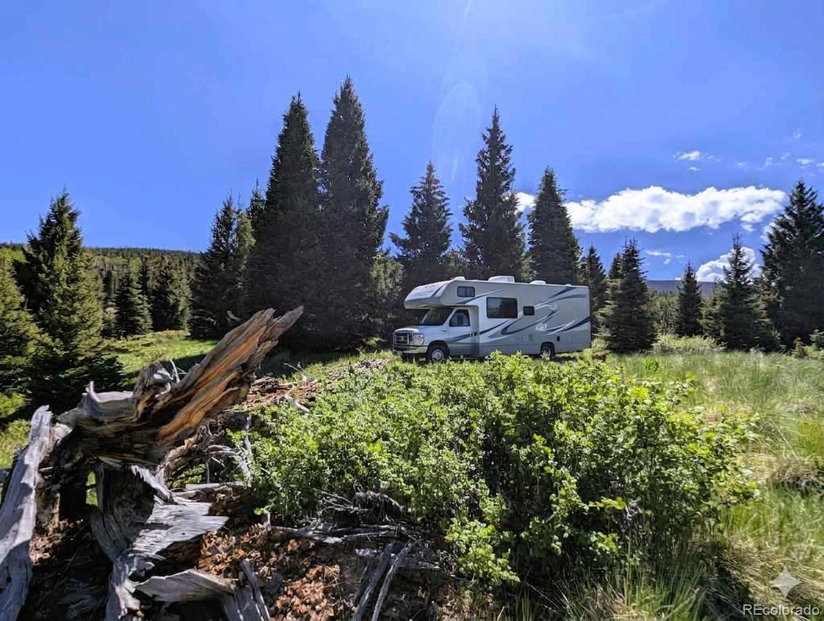 3119-3121 Segal Pl Lot 3119, 3120, 3121, Fort Garland, CO 81133
