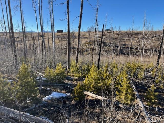 Lot 1502 Vonheyl Ln, Fort Garland, CO 81133