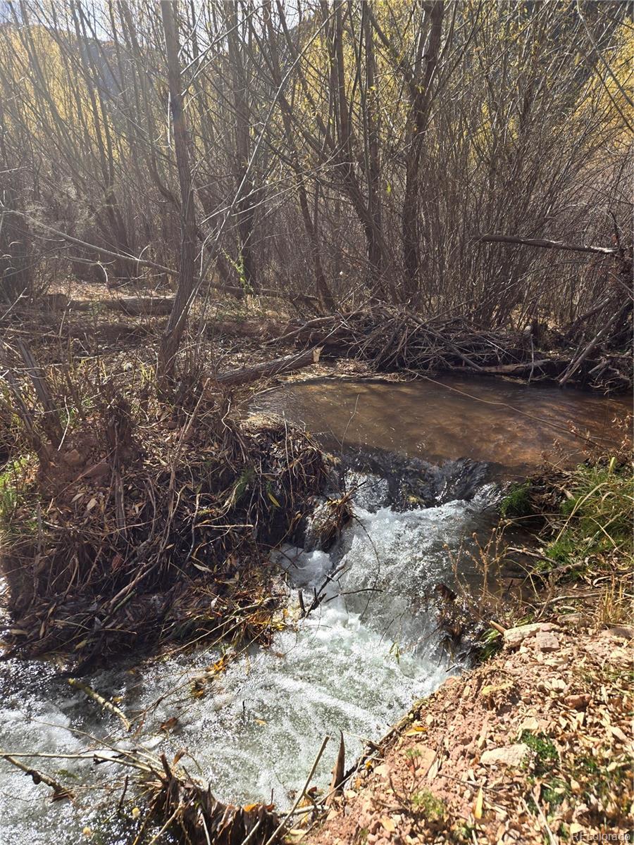 8225 W Us Highway 24, Cascade, CO 80809