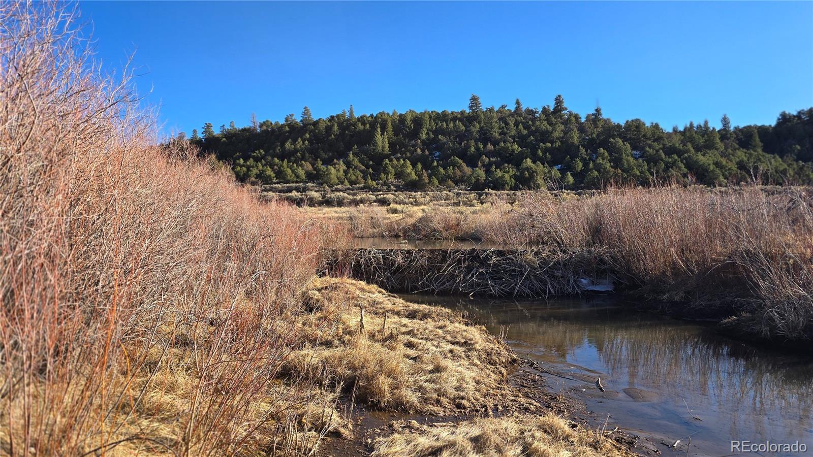 Lot 7542 Indian Creek Rd, Fort Garland, CO 81133