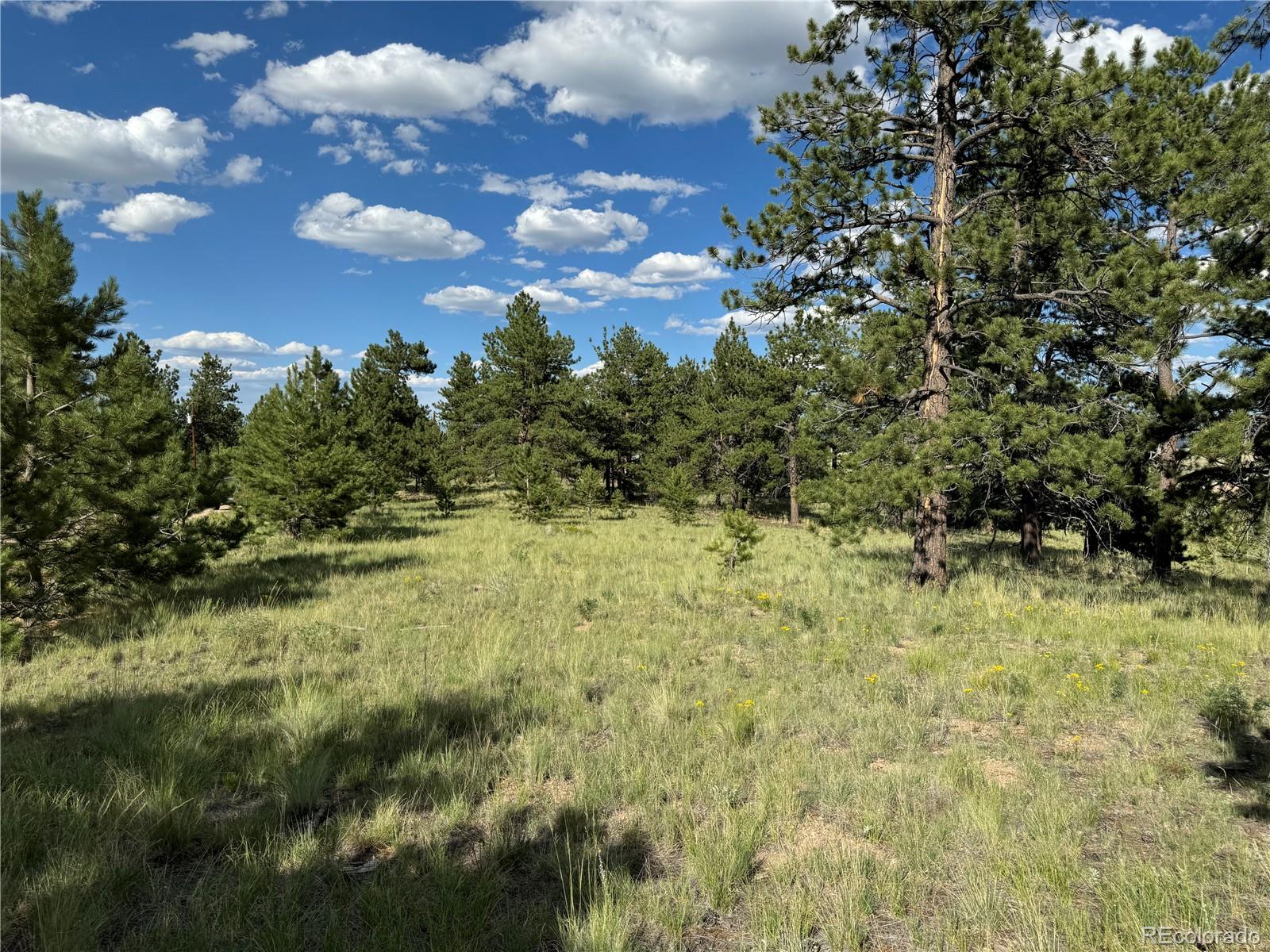 833 Angus Cir Lot 971, Hartsel, CO 80449