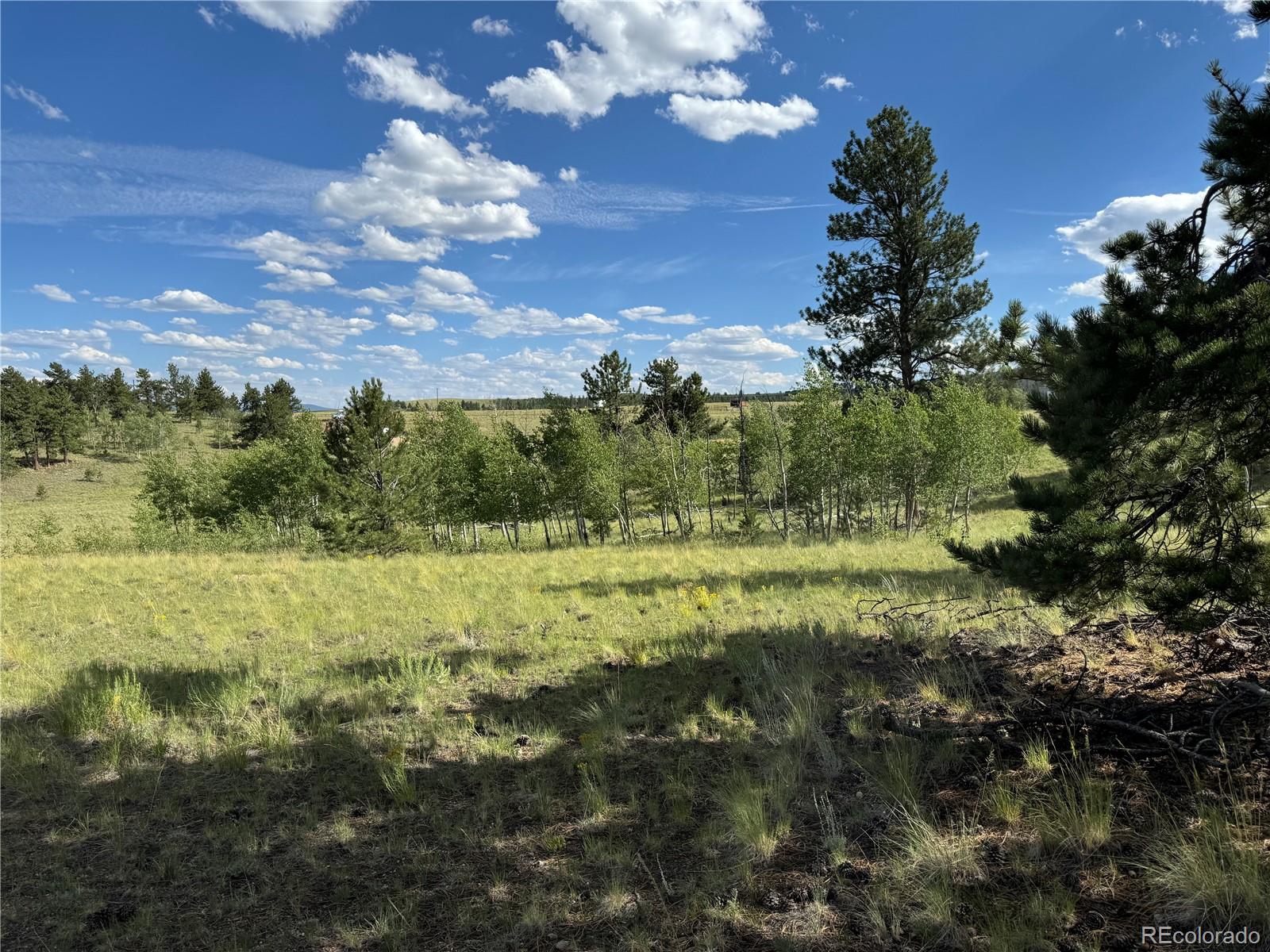 833 Angus Cir Lot 971, Hartsel, CO 80449