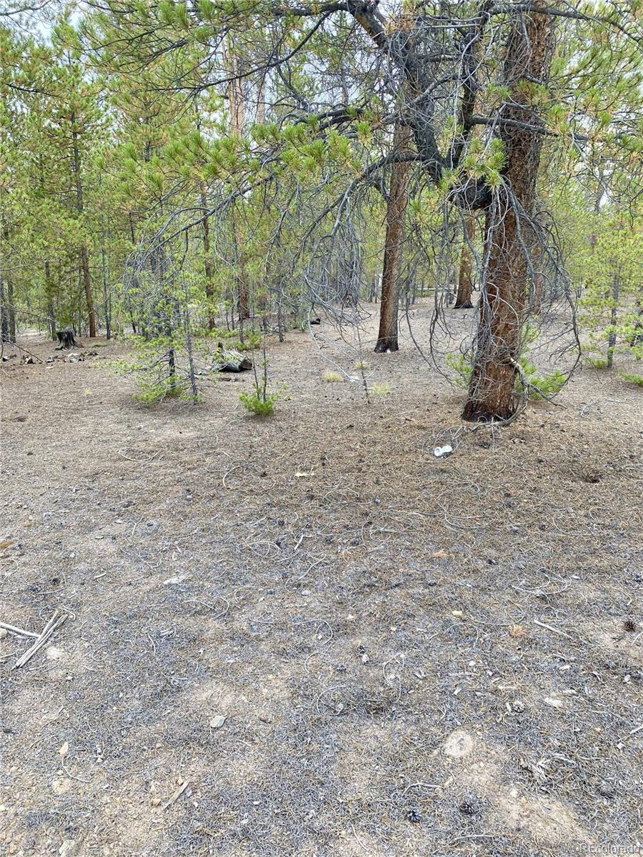 340 Peak View Dr, Twin Lakes, CO 80461