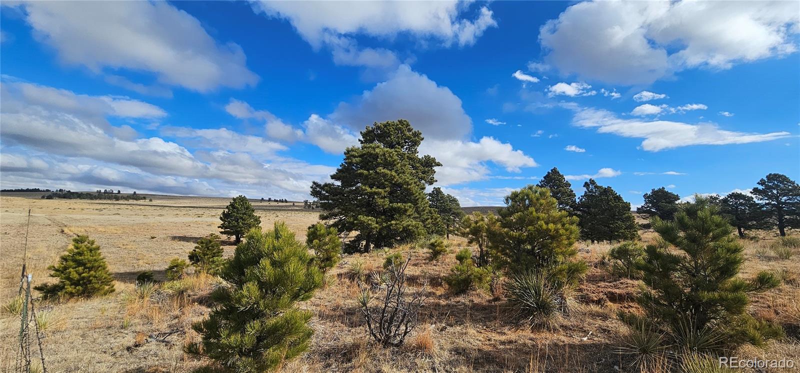 23895 County Road 144 Lot 1, Agate, CO 80101