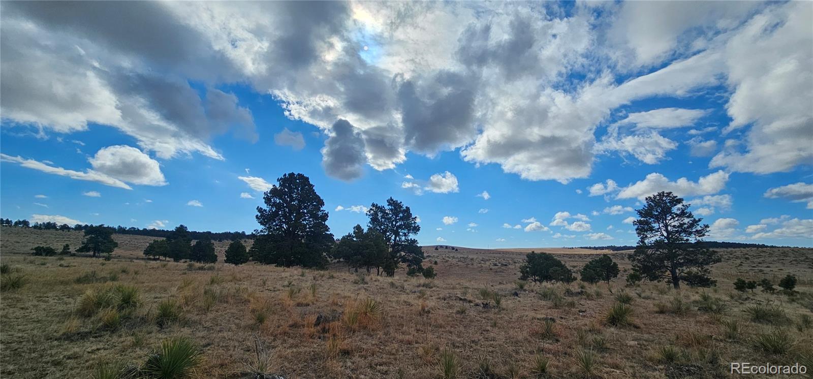 23895 County Road 144 Lot 1, Agate, CO 80101