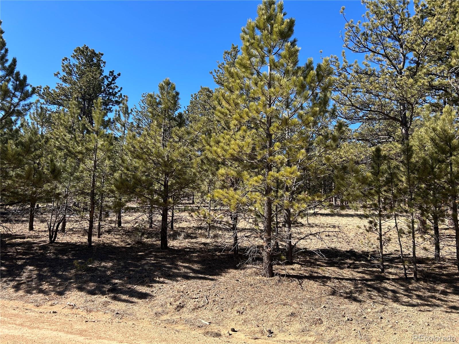 147 Haystack Rd Lot 199, Hartsel, CO 80449