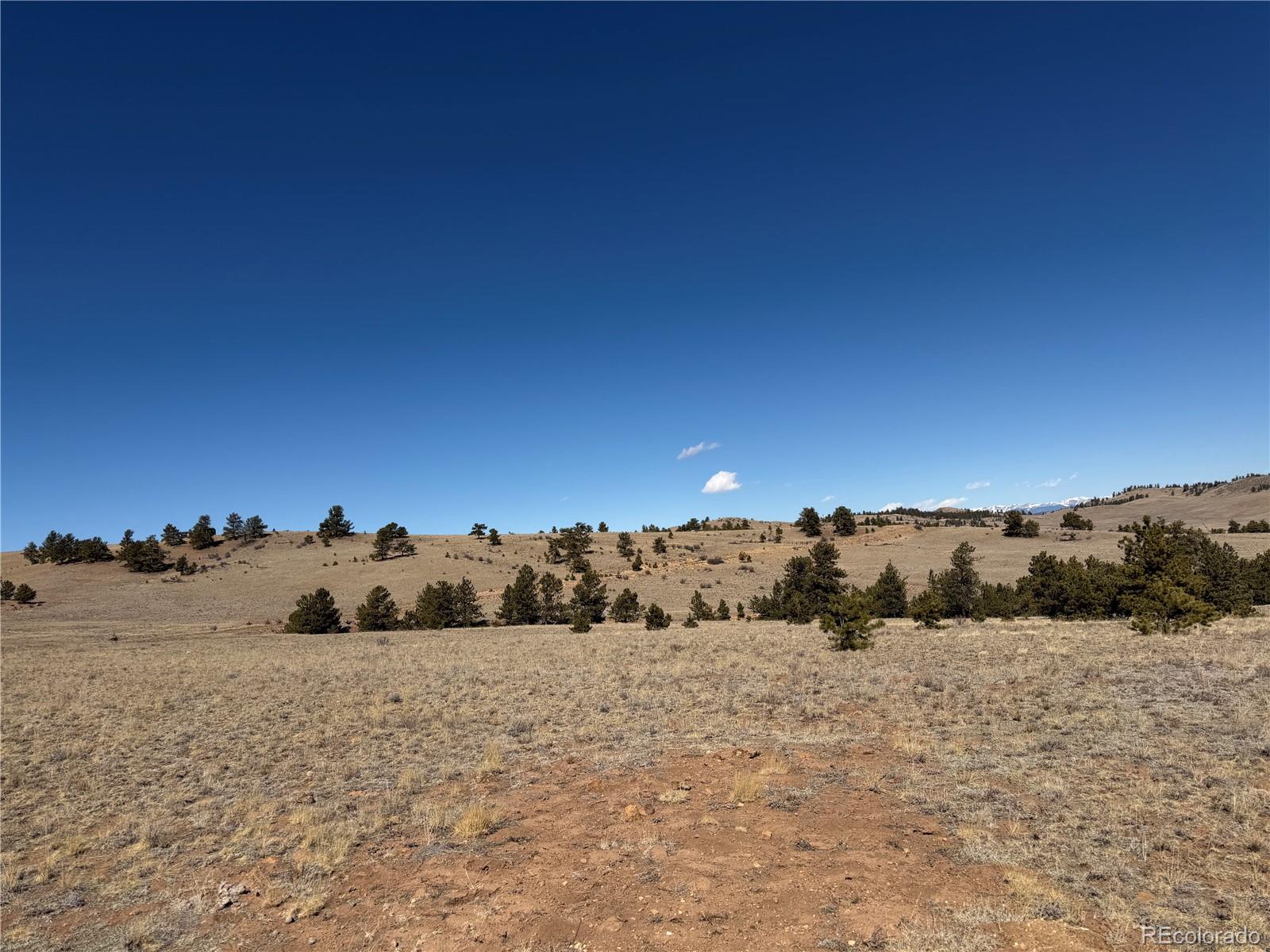 367 Arikara Trl Lot 5089, Hartsel, CO 80449