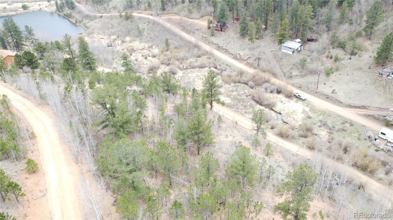 397 Neish St, Bailey, CO 80421