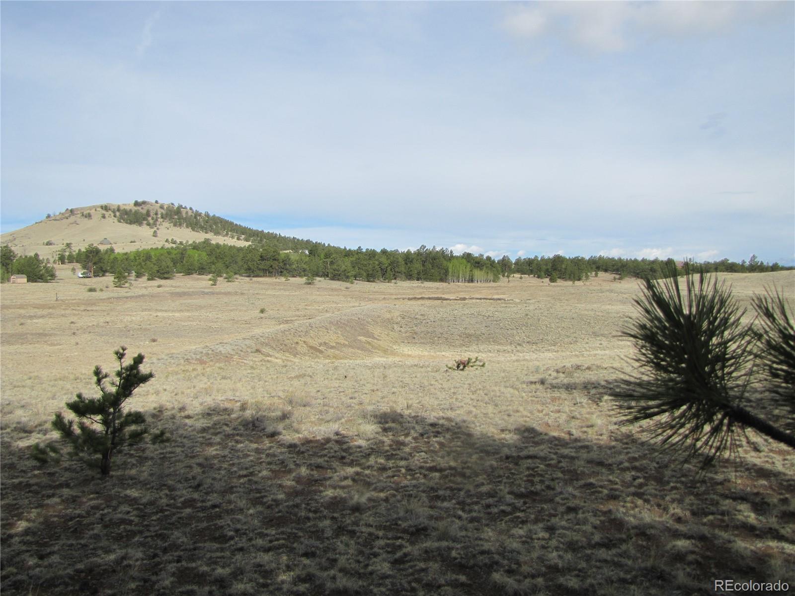575 Falcon Rd, Hartsel, CO 80449