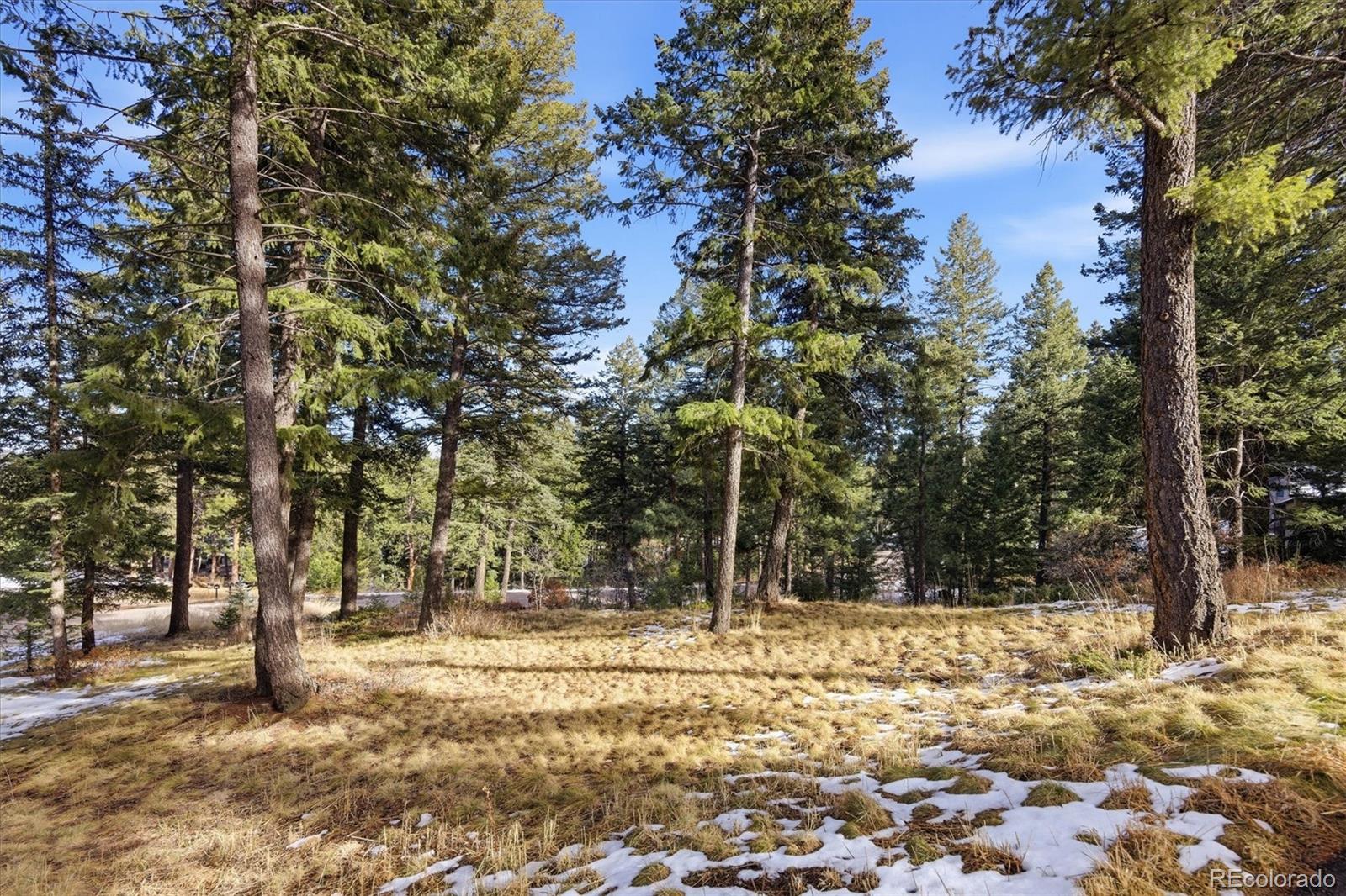 7837 S Settlers Dr, Morrison, CO 80465