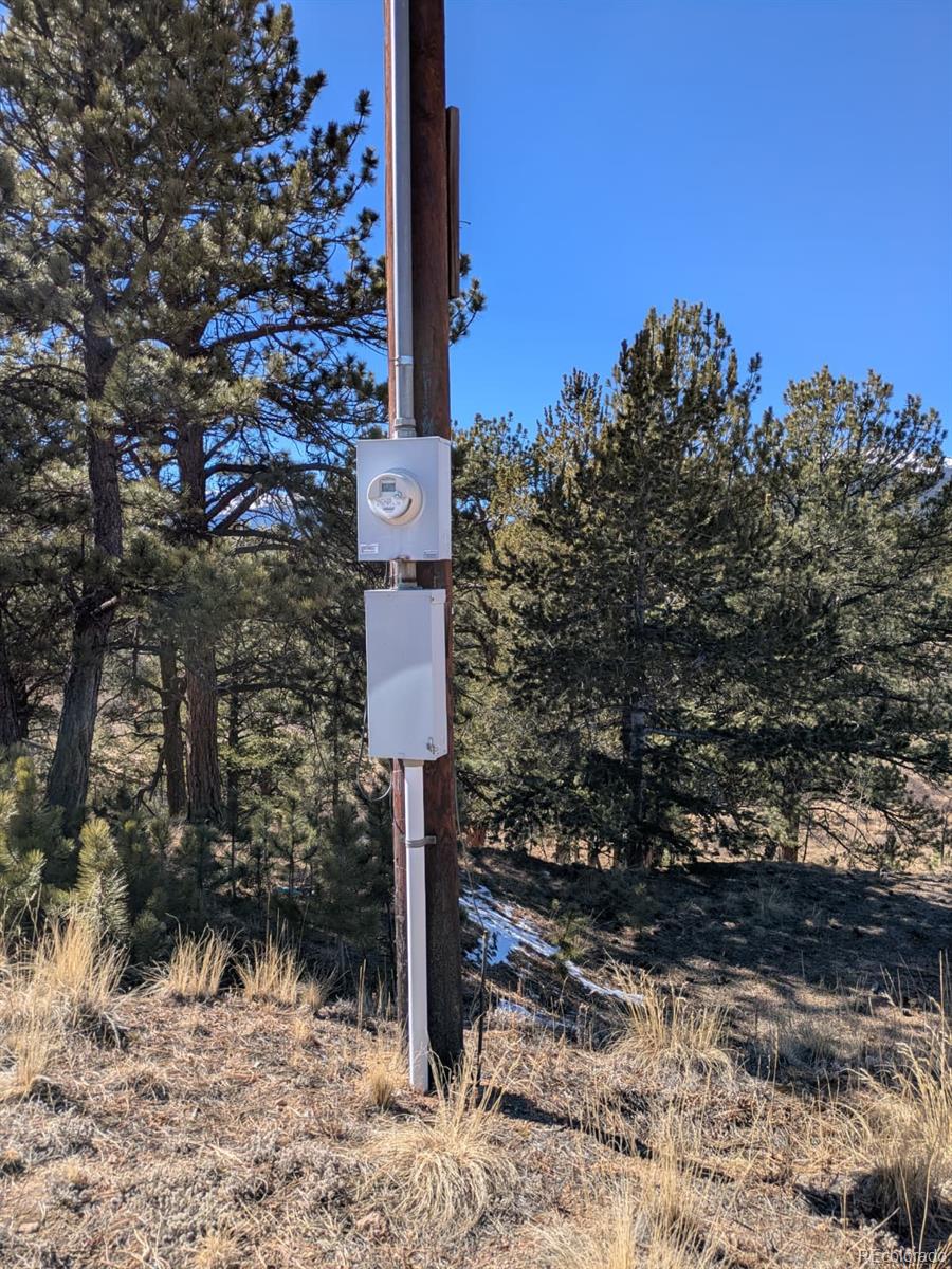 261 Appleby St, Bailey, CO 80421