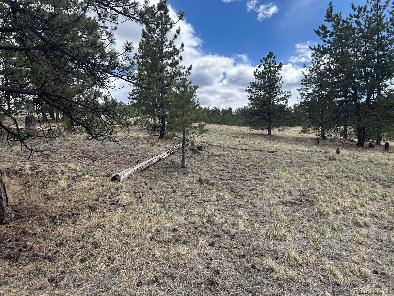 97 Chap Way Lot 215, Hartsel, CO 80449