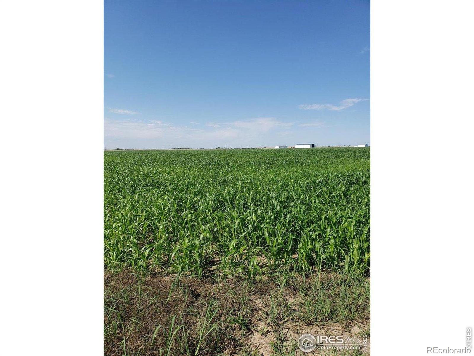 0 County Road 6, Wiggins, CO 80654