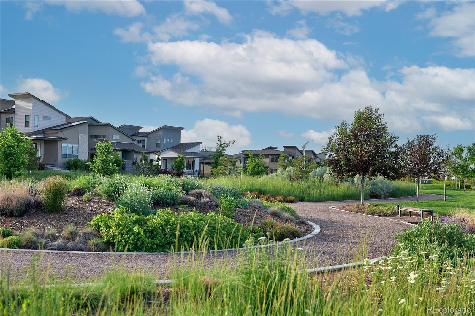 8599 Yellowcress St, Littleton, CO 80125