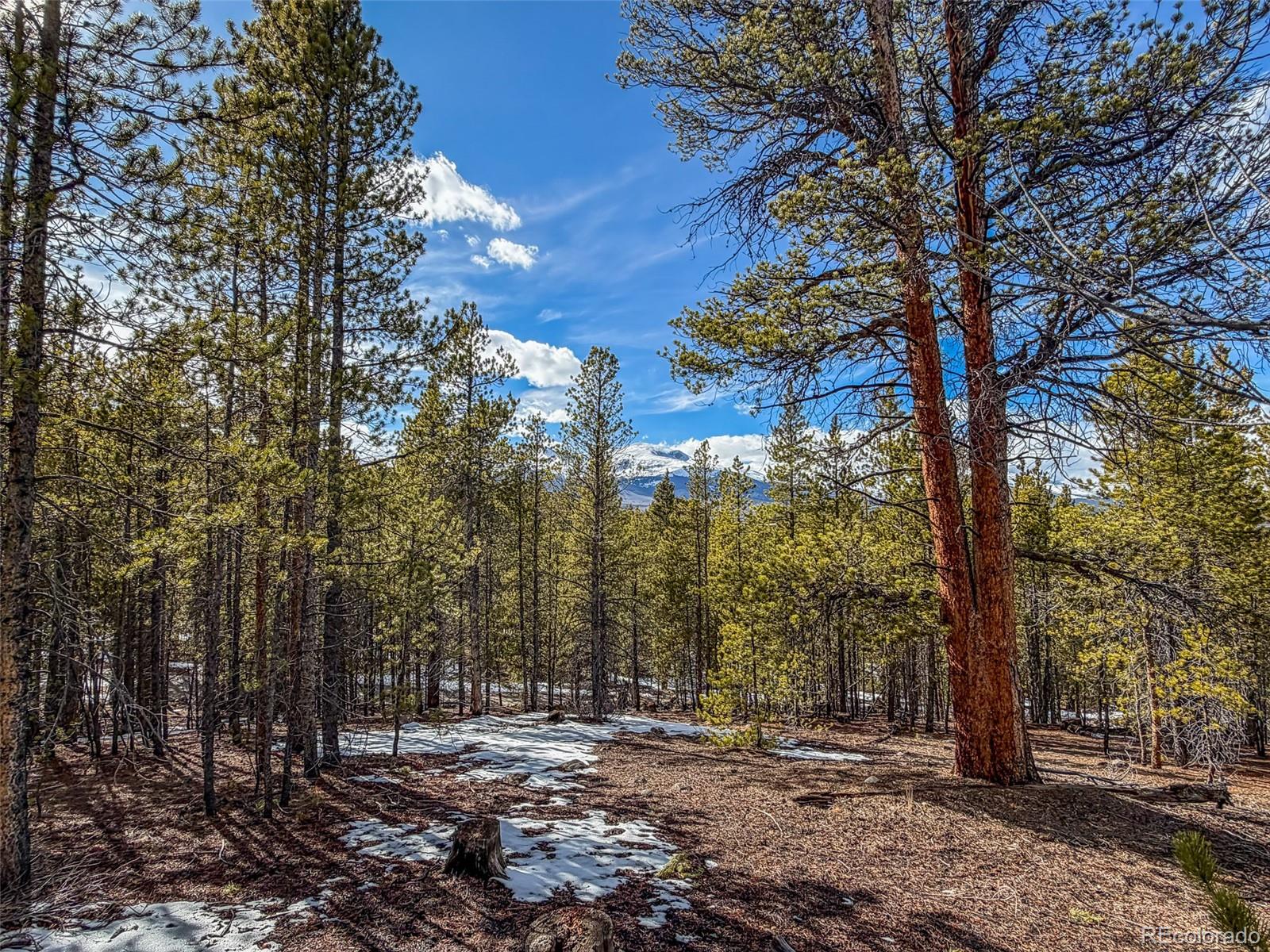 483 Mt Massive Rd Lot 27 & 28, Twin Lakes, CO 81251