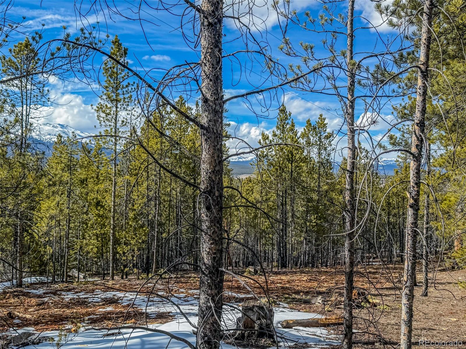 483 Mt Massive Rd Lot 27 & 28, Twin Lakes, CO 81251