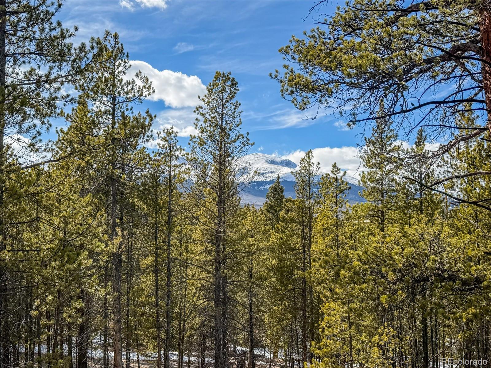 483 Mt Massive Rd Lot 27 & 28, Twin Lakes, CO 81251