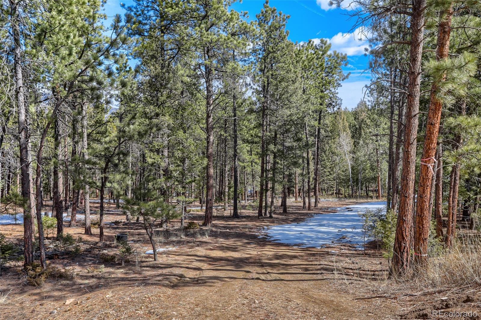 249 Territory Dr Lot 4, Pine, CO 80470