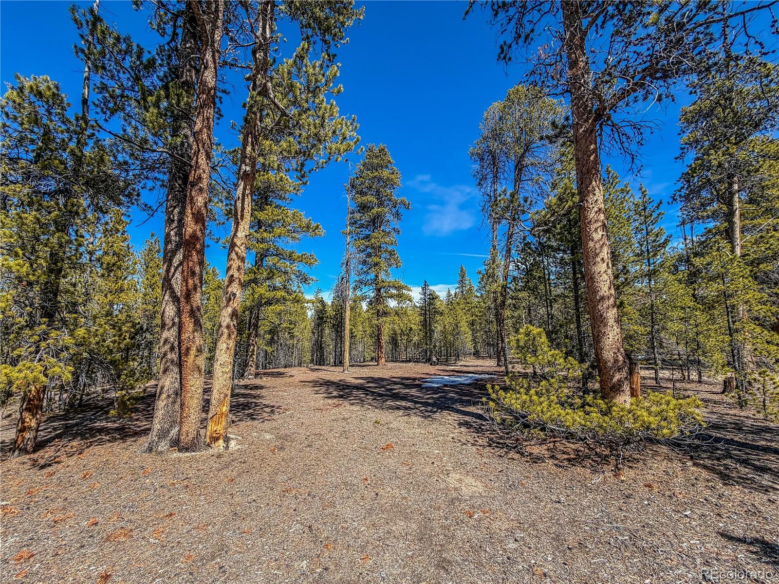 199 Cedar Dr Lot 182, Twin Lakes, CO 81251