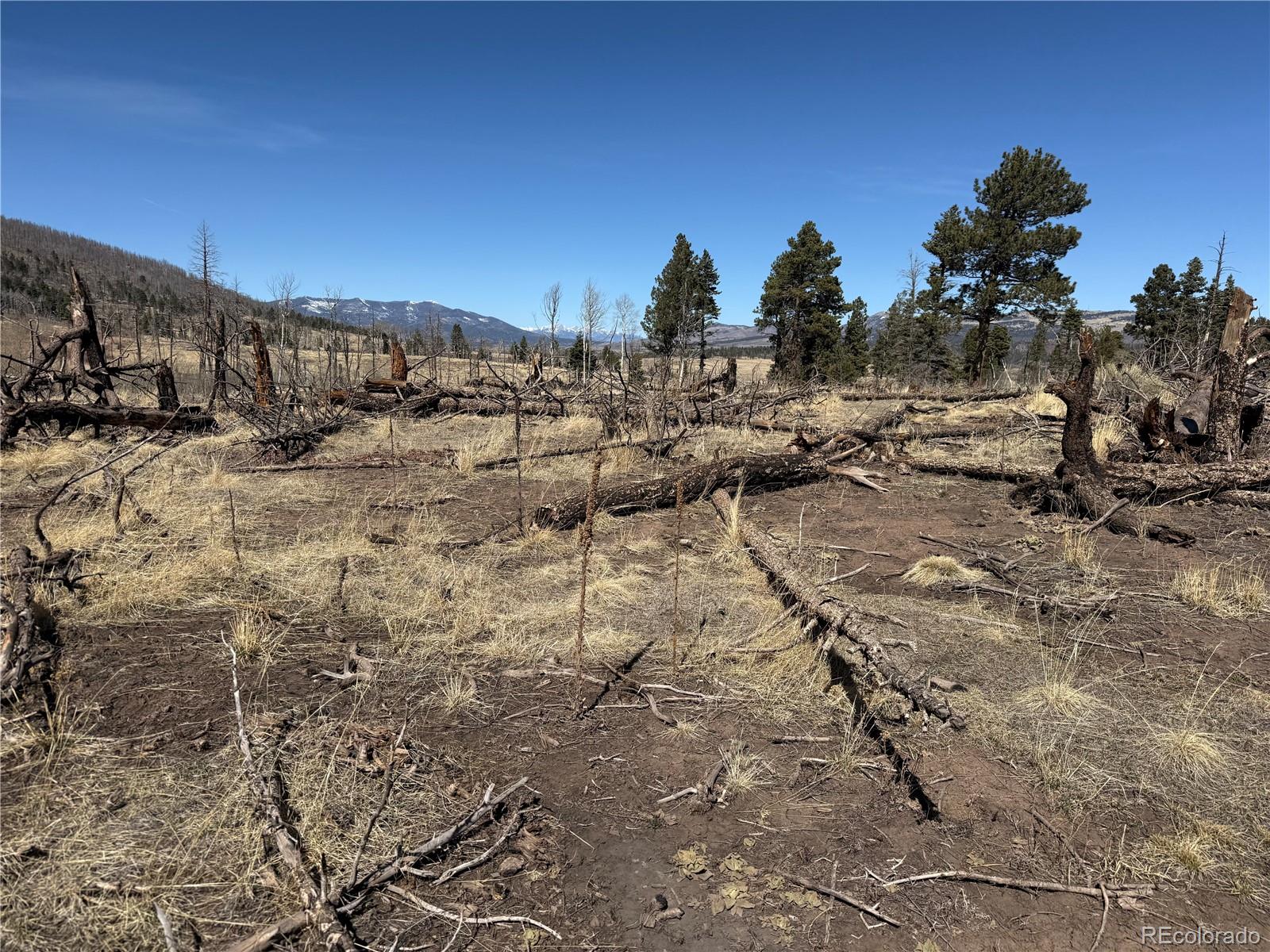 Lot 999 Foy Pl Lot 999, Fort Garland, CO 81133