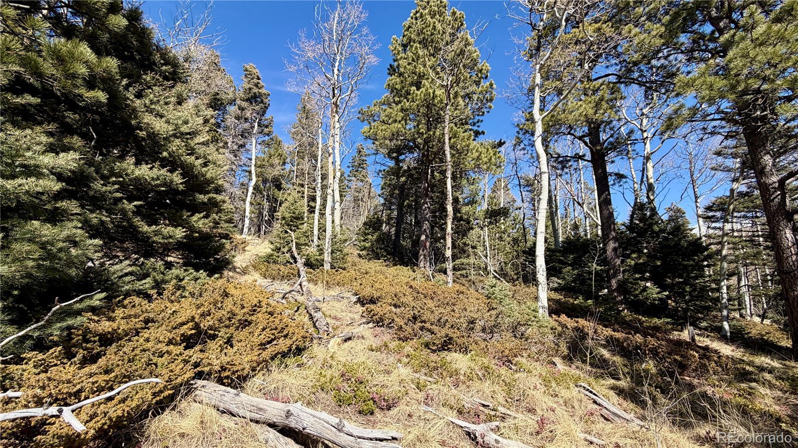 2796 Moir Dr, Fort Garland, CO 81133