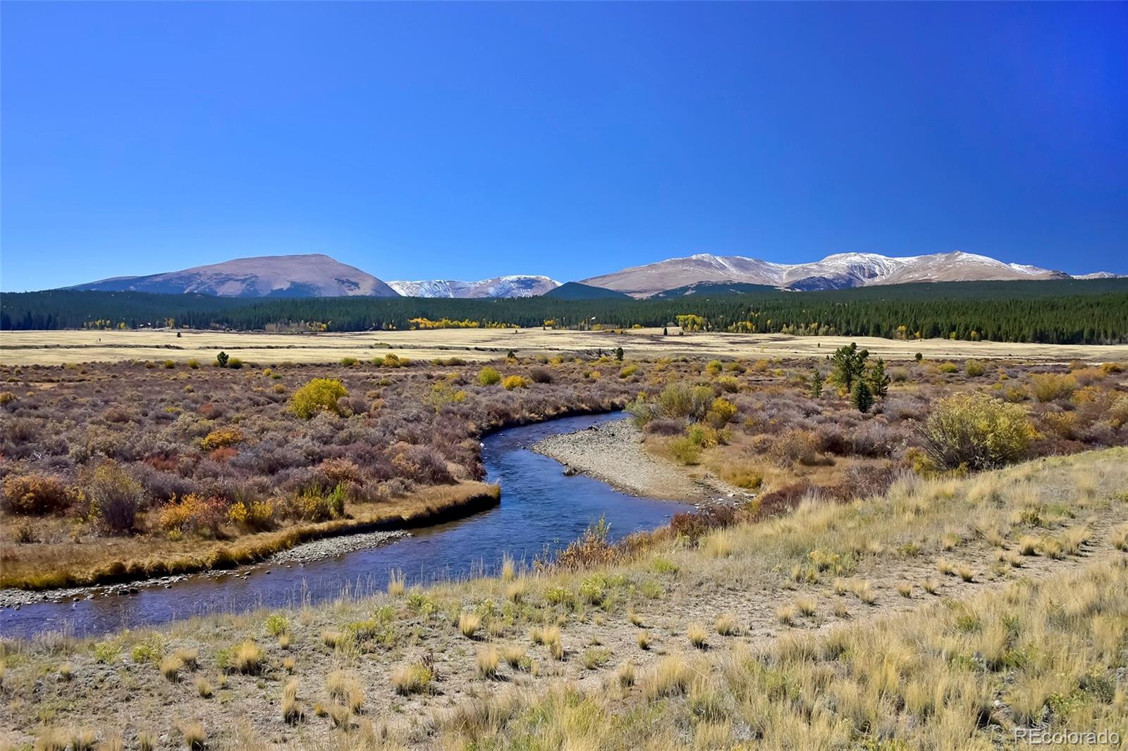 1517 Mountain View Dr, Fairplay, CO 80440