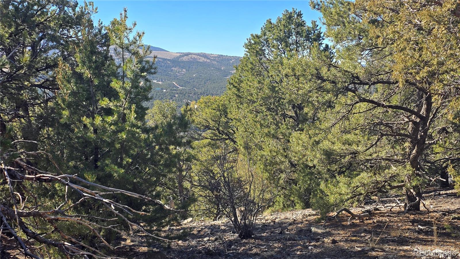 Lot 4510 Iannelli Rd, Fort Garland, CO 81133