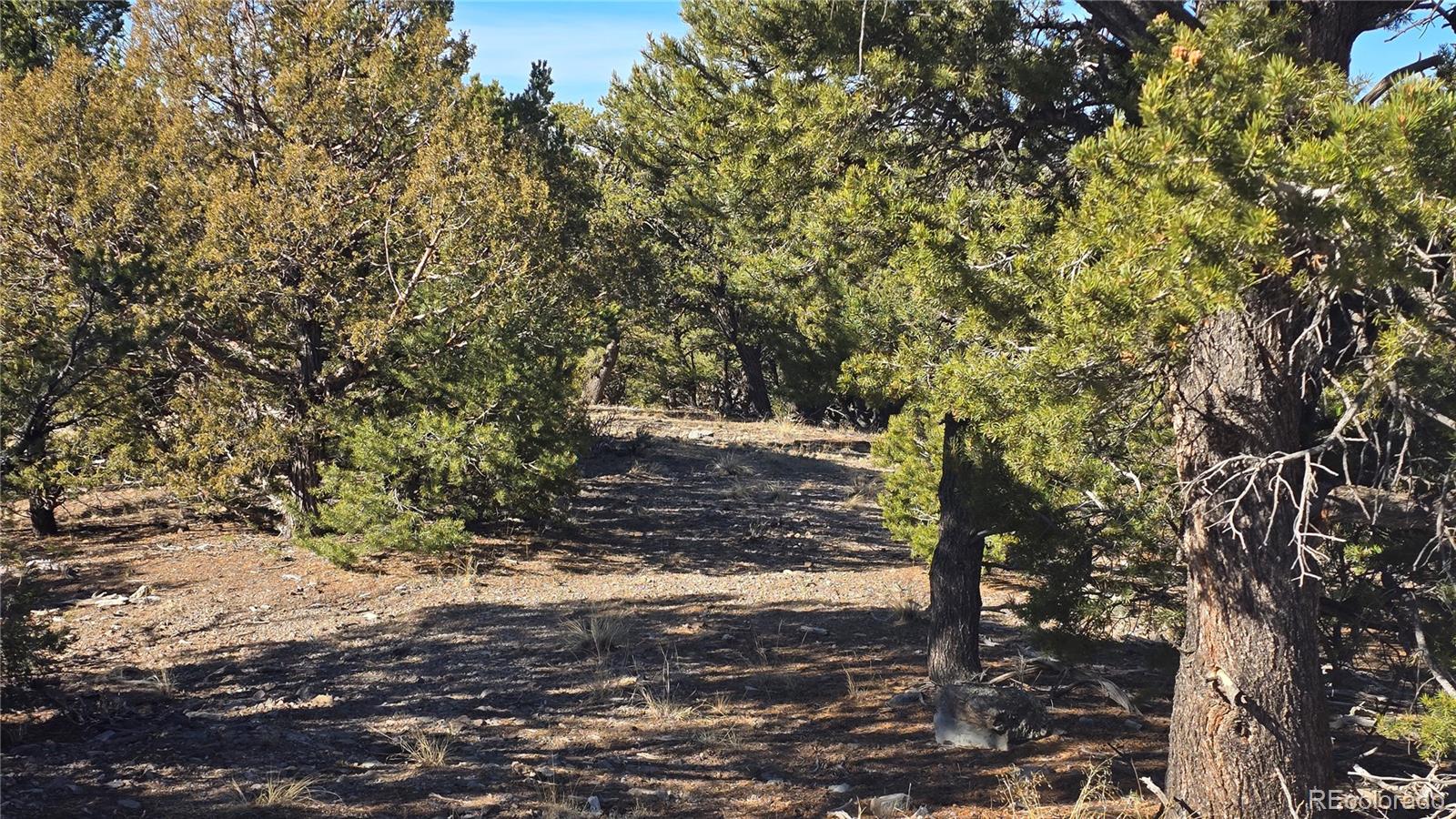 Lot 4510 Iannelli Rd, Fort Garland, CO 81133