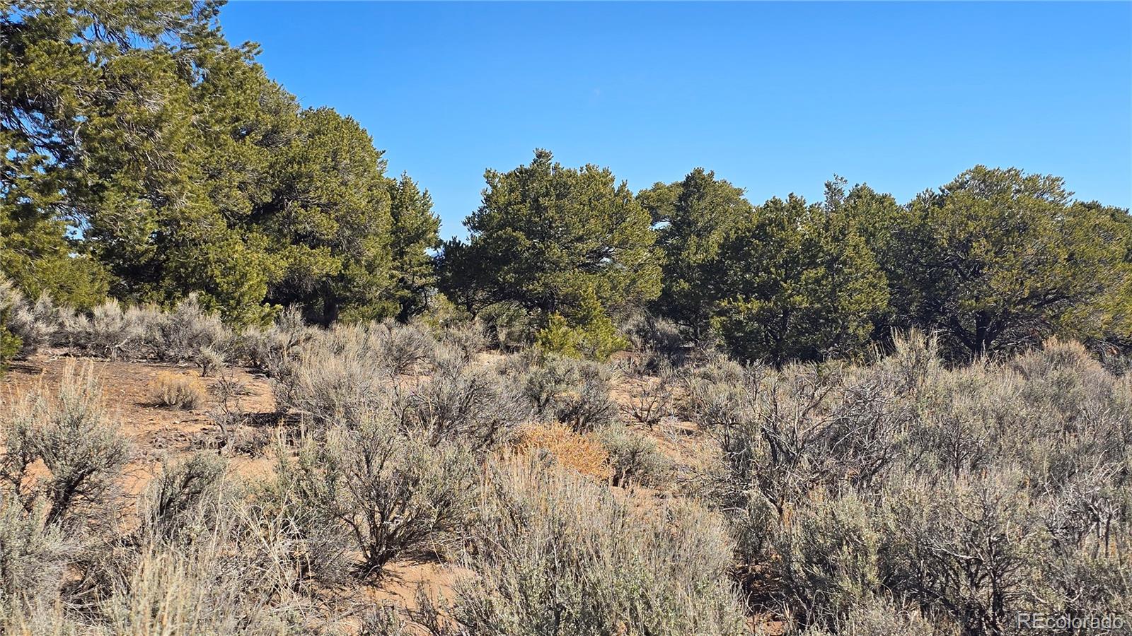 Lot 409 Williams Rd, Fort Garland, CO 81133