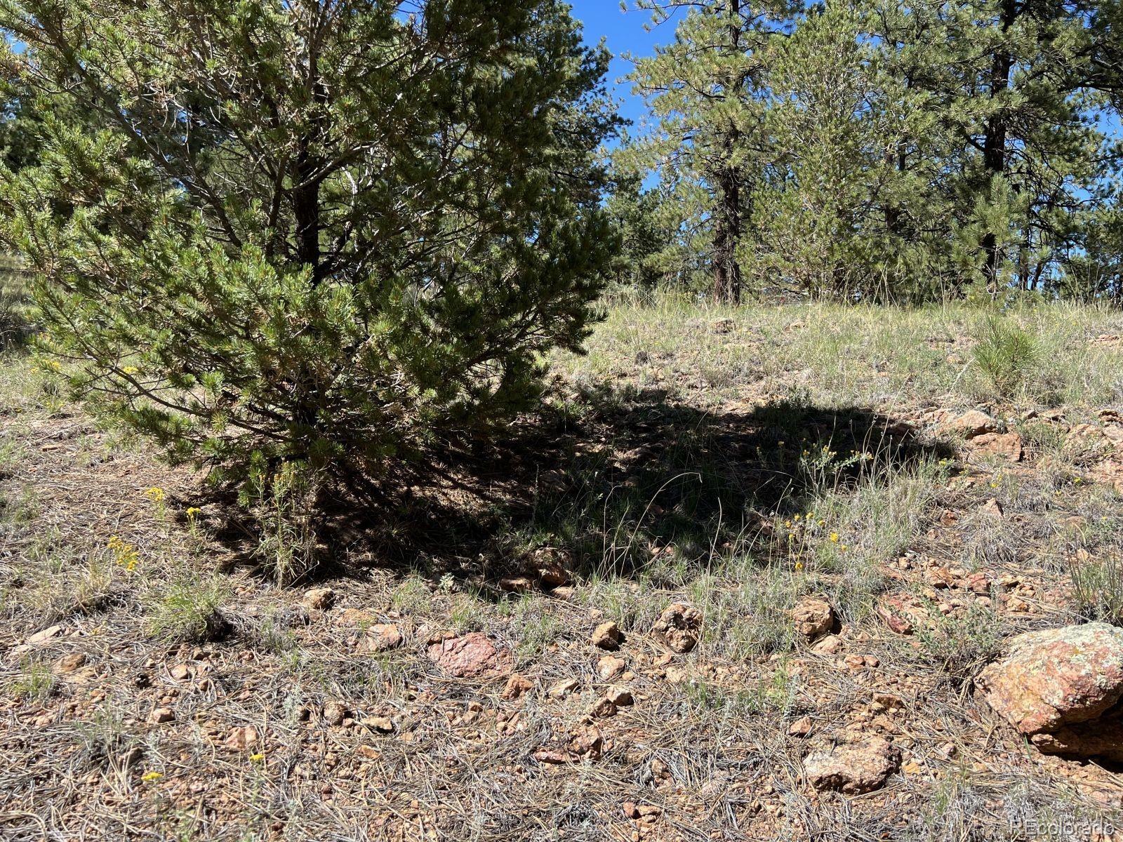 82 Kiowa Cir, Westcliffe, CO 81252