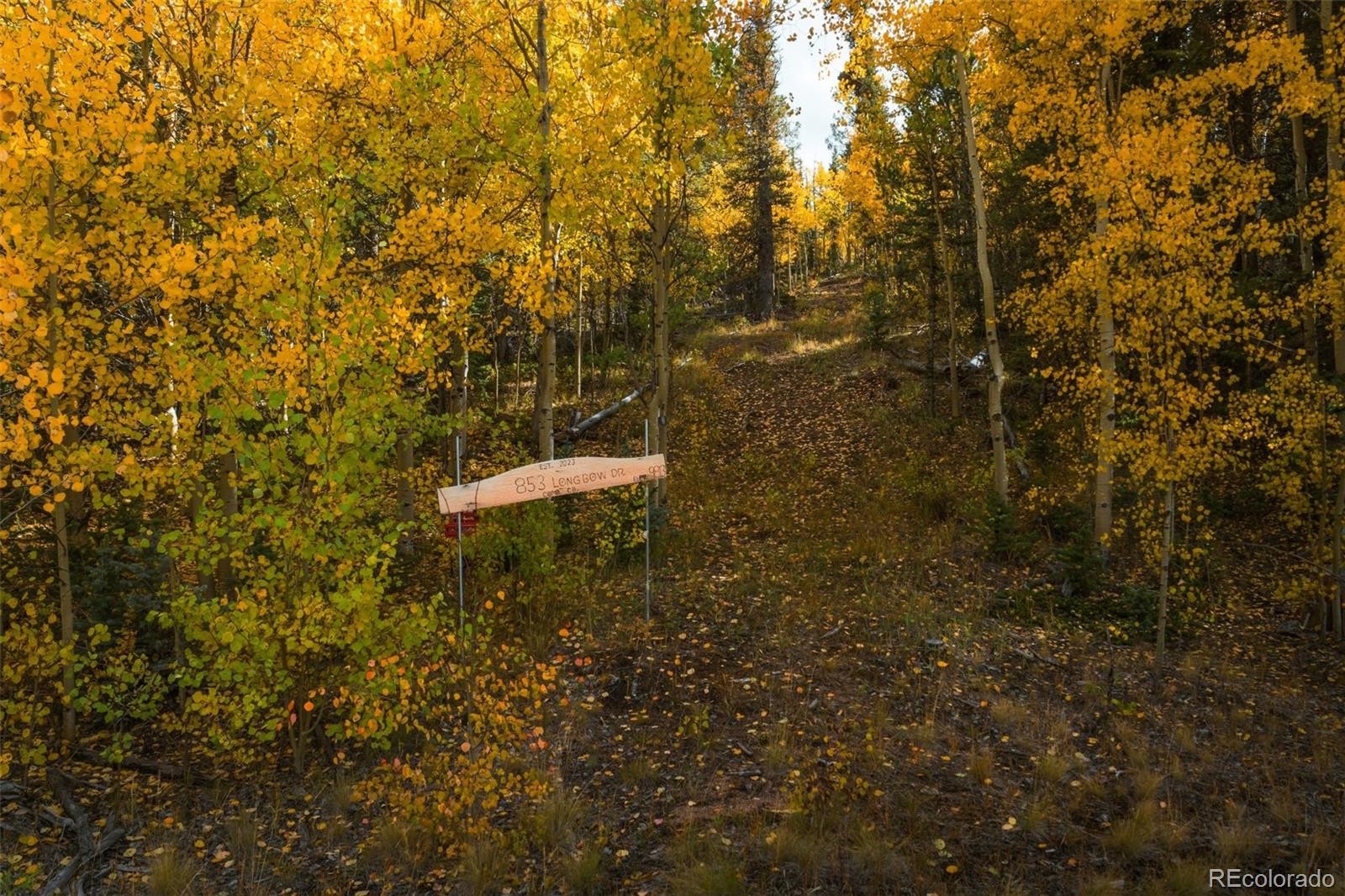 853 W Longbow Dr, Como, CO 80432