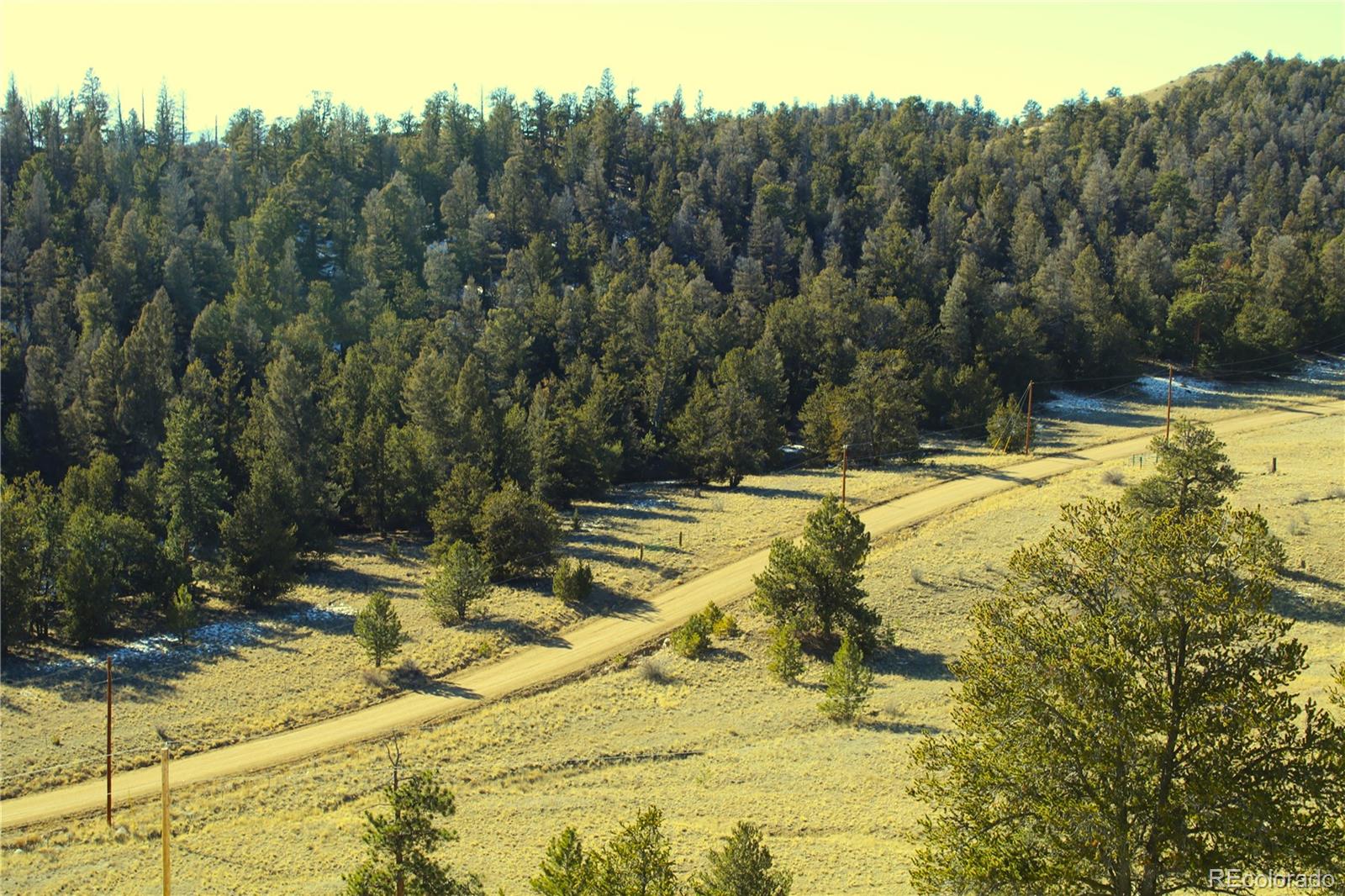 697 Summit Rd, Hartsel, CO 80449