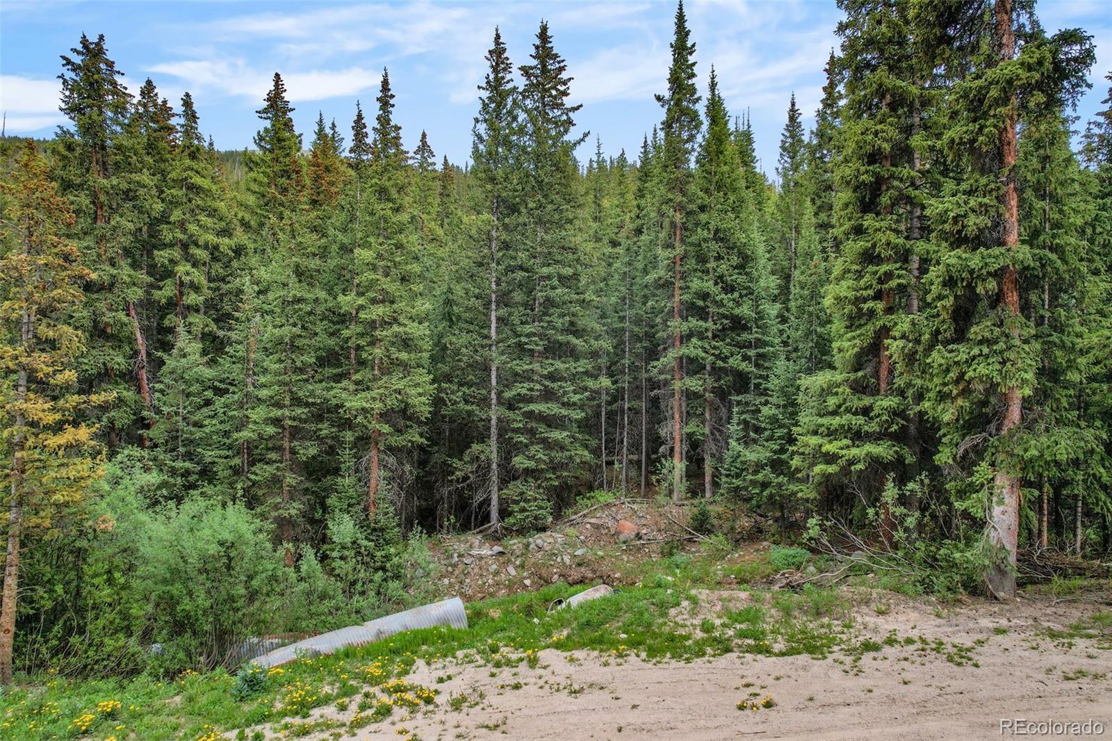286 Cty Road 675 Lot 9, Breckenridge, CO 80424