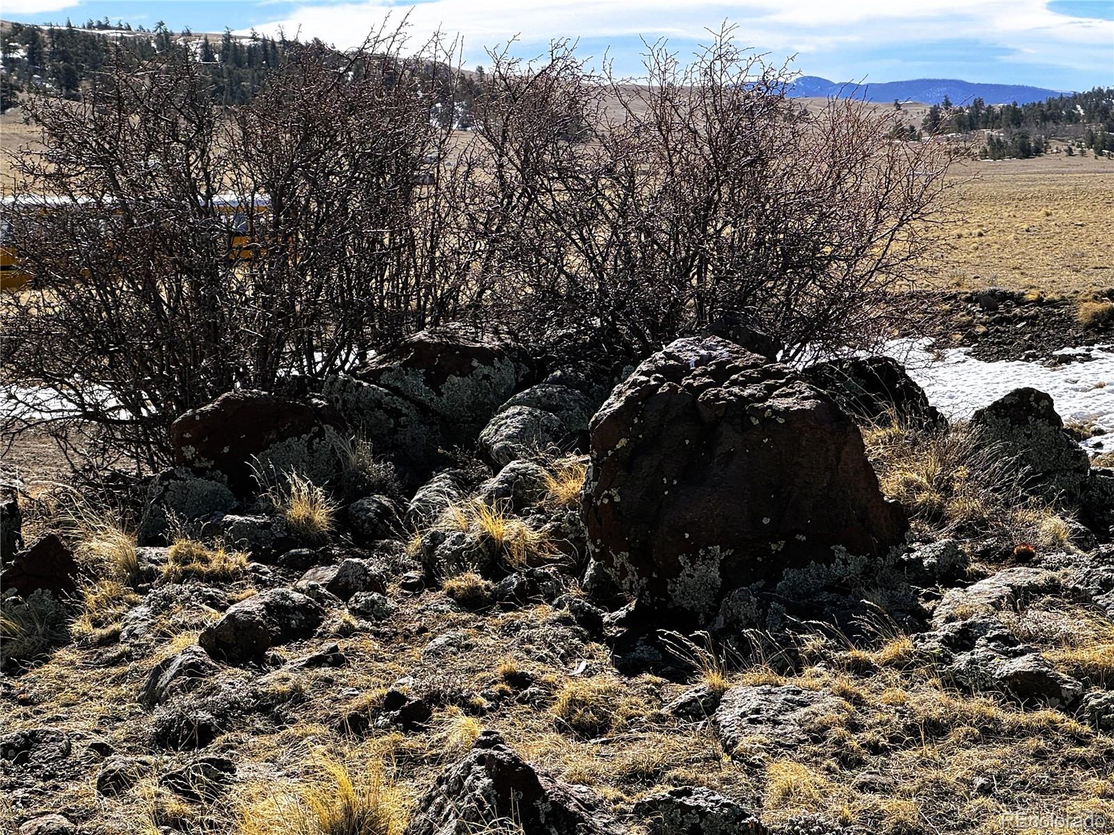 492 Chickamauga Trl Lot 898/900, Hartsel, CO 80449