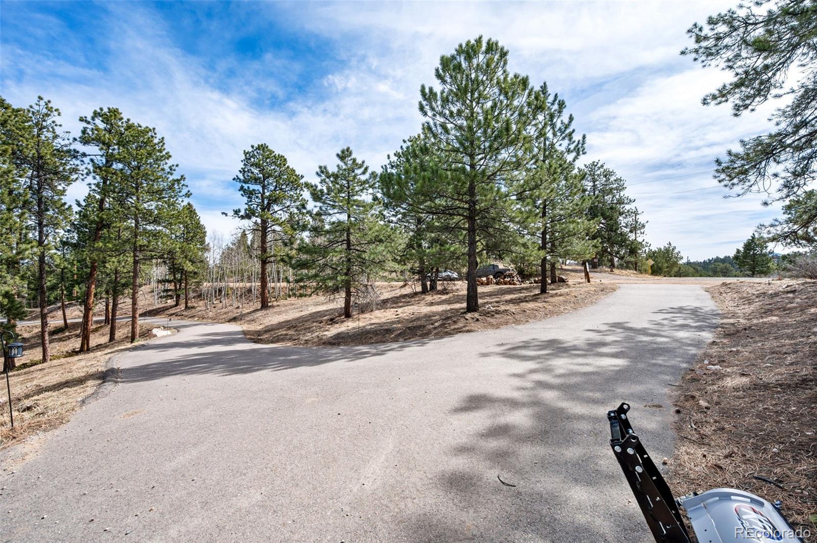 21 Hummingbird Ct, Bailey, CO 80421