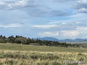 1599 Campfire Rd Lot 707, Hartsel, CO 80449