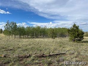 1599 Campfire Rd Lot 707, Hartsel, CO 80449