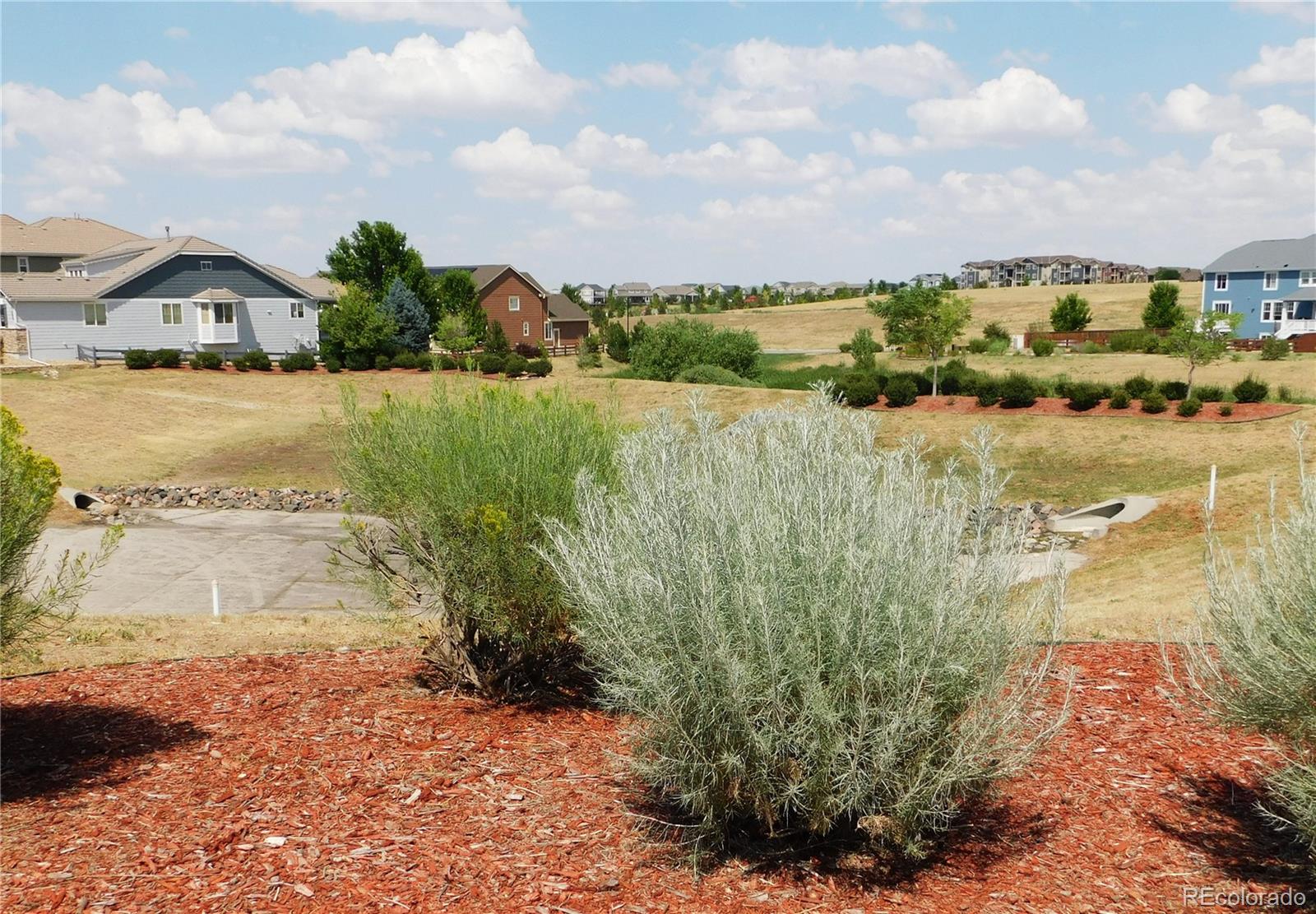 10473 Rutledge St, Parker, CO 80134