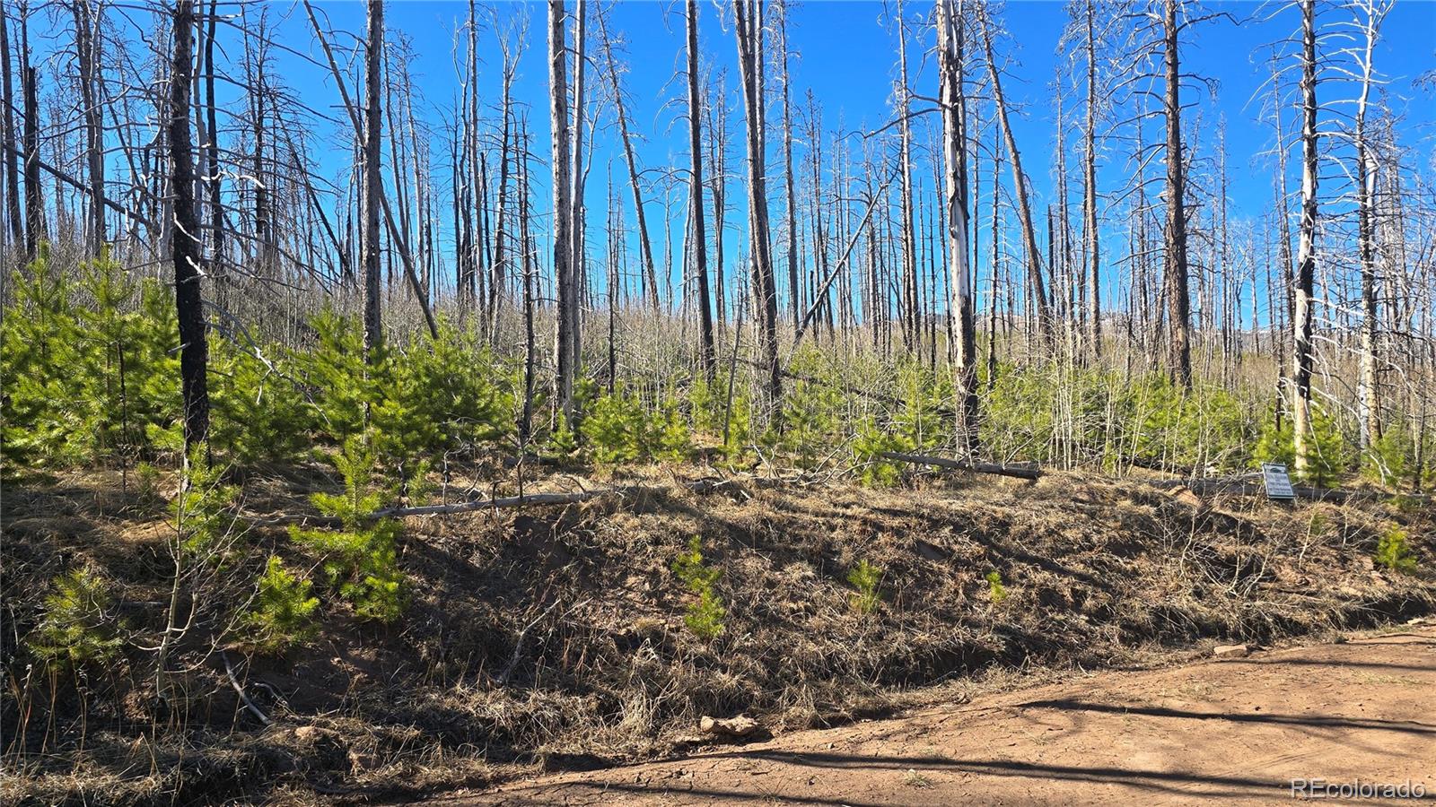 Lot 1470 Von Heyl Ln, Fort Garland, CO 81133